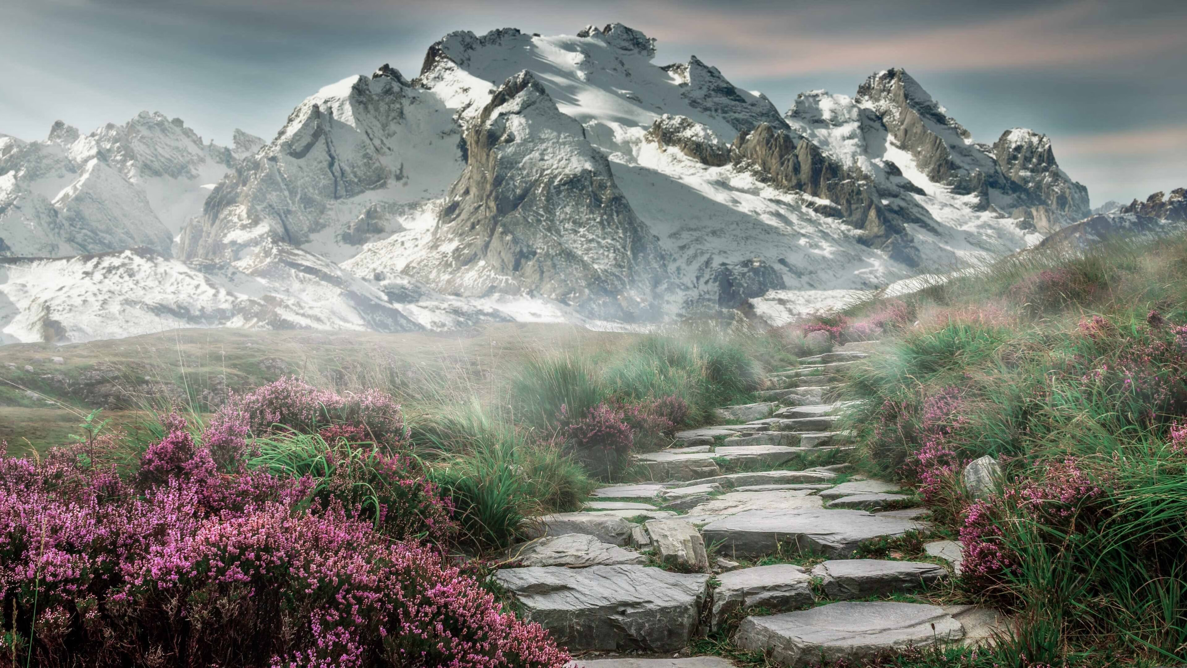 多特蒙德未来之星崭露头角，多特蒙德新人