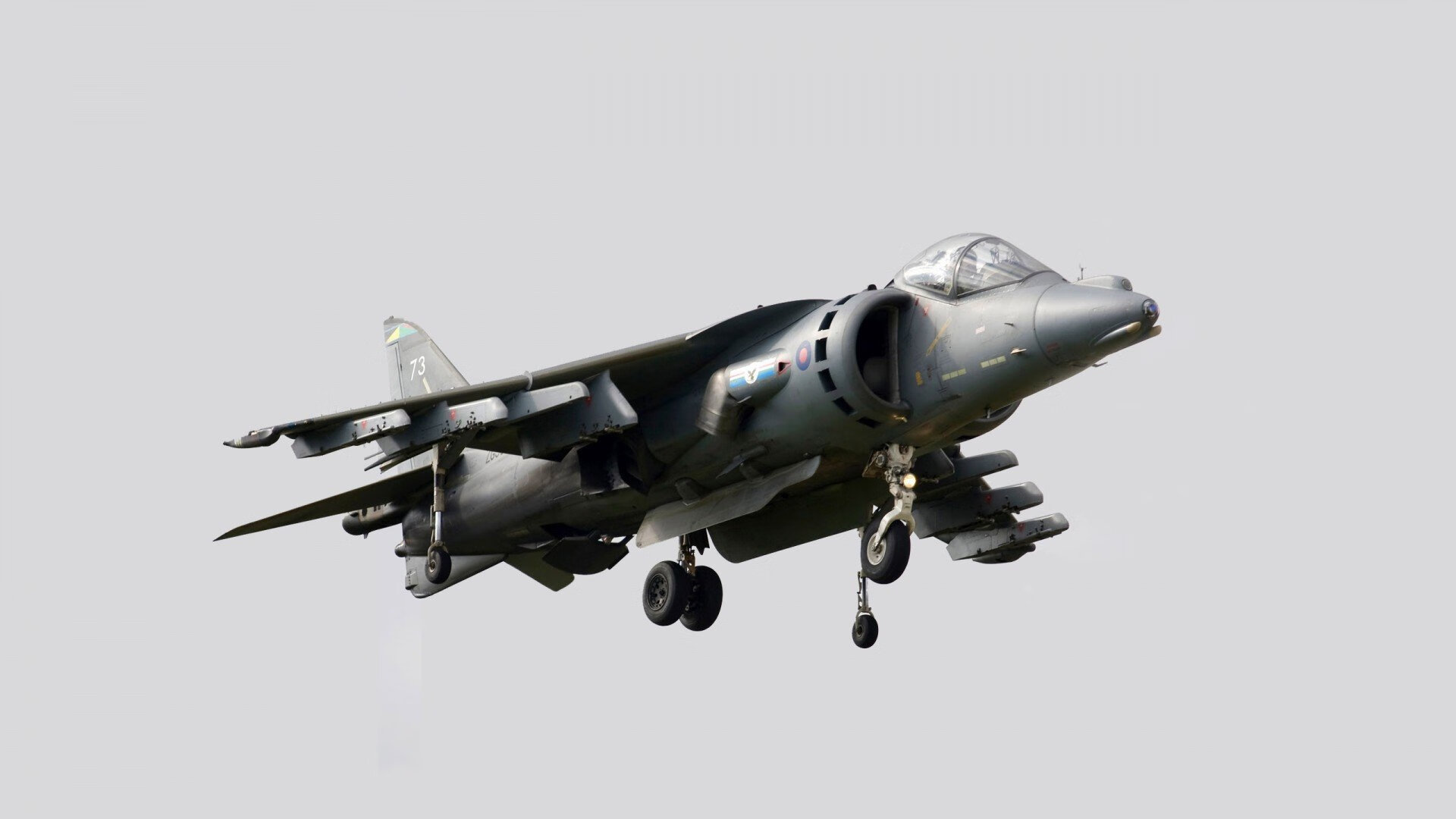 中国高校篮球运动员转为职业，为行业提供新鲜血液，篮球运动员出路