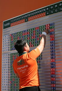 开云官网-格鲁吉亚女篮在欧洲锦标赛中夺冠，崭露头角的佳绩队伍，格鲁吉亚参加过欧洲杯吗