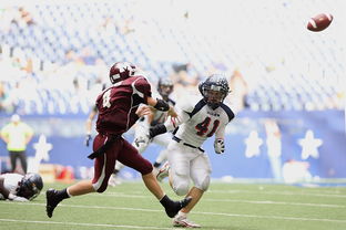 开云真人-皮特·斯图斯：南非羚羊队的防守核心，一直稳定发挥